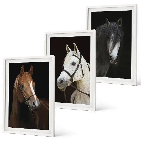 Cadre photo mural représentant des portraits de chevaux aux nuances de fourrure