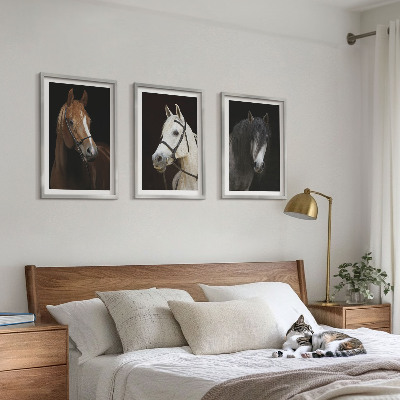 Cadre photo mural Portraits de chevaux dans des tons de fourrure