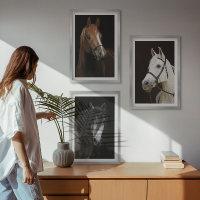 Cadre photo mural Portraits de chevaux dans des tons de fourrure