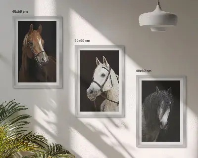 Cadre photo mural représentant des portraits de chevaux aux nuances de fourrure