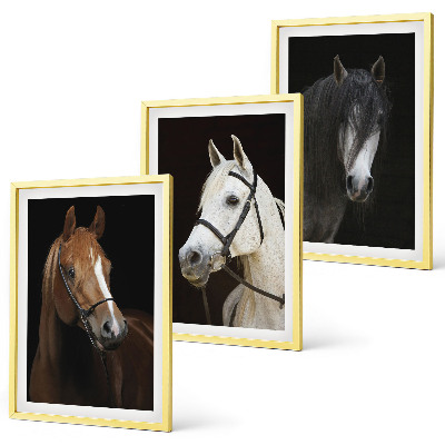 Cadre photo mural Portraits de chevaux dans des tons de fourrure