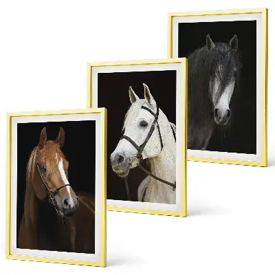 Cadre photo mural représentant des portraits de chevaux aux nuances de fourrure