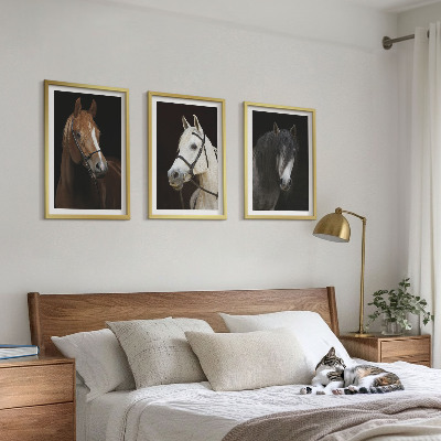 Cadre photo mural Portraits de chevaux dans des tons de fourrure