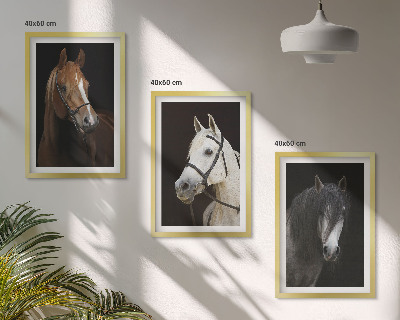 Cadre photo mural Portraits de chevaux dans des tons de fourrure
