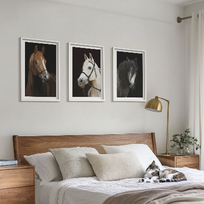 Cadre photo mural Portraits de chevaux dans des tons de fourrure