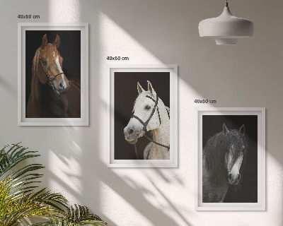Cadre photo mural Portraits de chevaux dans des tons de fourrure