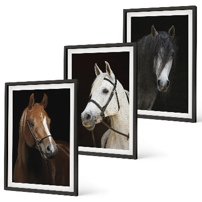 Cadre photo mural Portraits de chevaux dans des tons de fourrure