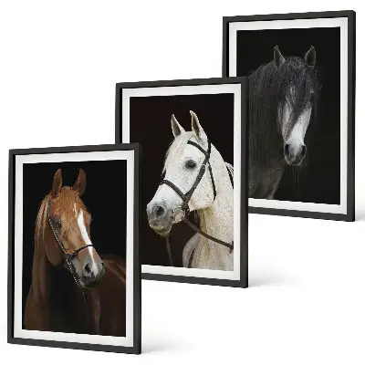 Cadre photo mural représentant des portraits de chevaux aux nuances de fourrure