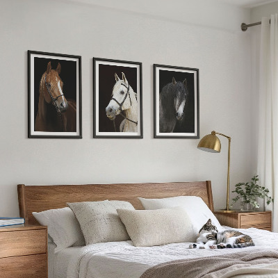 Cadre photo mural Portraits de chevaux dans des tons de fourrure