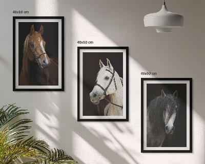 Cadre photo mural Portraits de chevaux dans des tons de fourrure