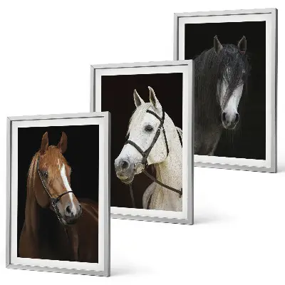 Cadre photo mural représentant des portraits de chevaux aux nuances de fourrure