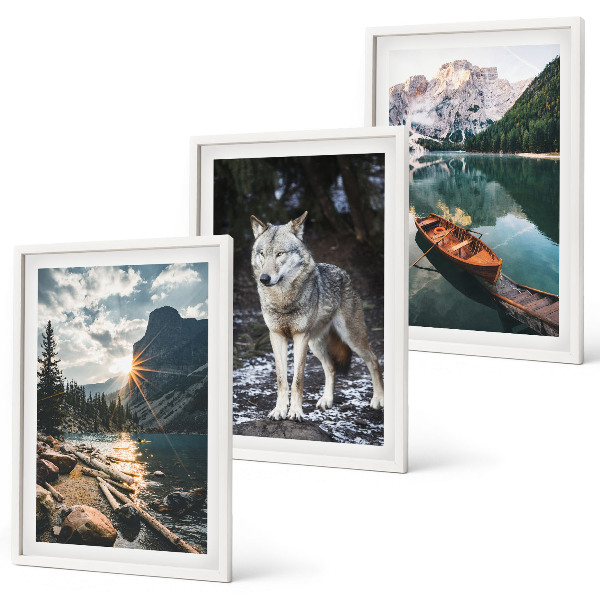 Lot de 3 tableaux pour salon Montagnes lacs loup nature