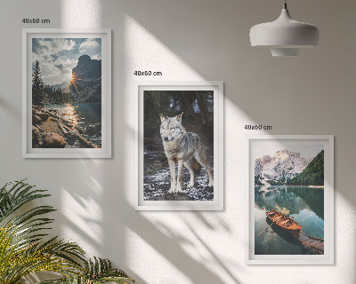 Lot de 3 tableaux pour salon Montagnes lacs loup nature