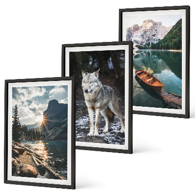 Lot de 3 tableaux pour salon Montagnes lacs loup nature