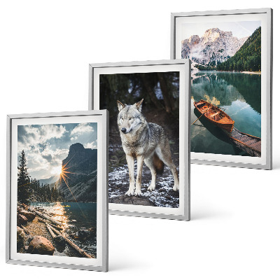 Lot de 3 tableaux pour salon Montagnes lacs loup nature