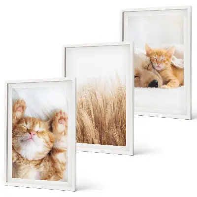 Cadre photo mural avec motifs d'animaux mignons chiens et chats style bohème