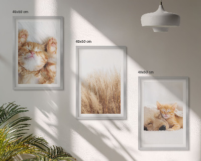 Cadre photo mural Animaux mignons chats chiens bohème