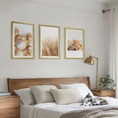 Cadre photo mural avec motifs d'animaux mignons chiens et chats style bohème