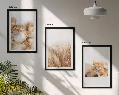 Cadre photo mural avec motifs d'animaux mignons chiens et chats style bohème