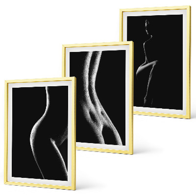 Lot de 3 tableaux pour salon Silhouettes féminines en noir et blanc