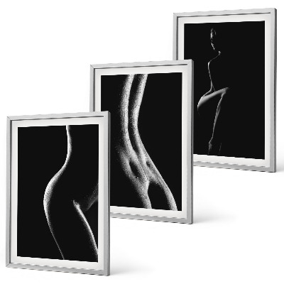 Lot de 3 tableaux pour salon Silhouettes féminines en noir et blanc