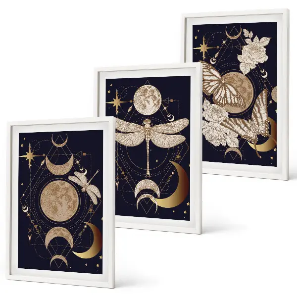 Lot de 3 tableaux pour salon motifs naturels avec des fleurs de lune