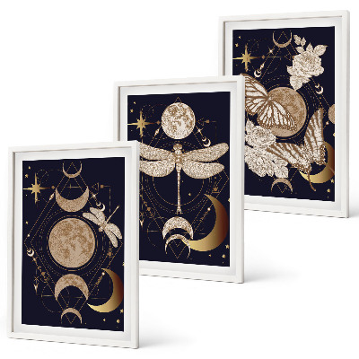 Lot de 3 tableaux pour salon Motifs naturels, fleurs de lune