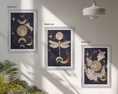 Lot de 3 tableaux pour salon Motifs naturels, fleurs de lune