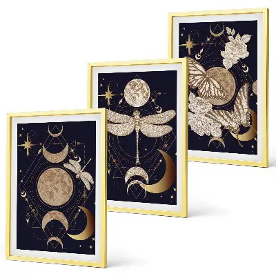 Lot de 3 tableaux pour salon motifs naturels avec des fleurs de lune