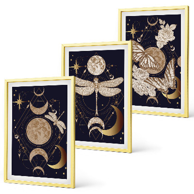 Lot de 3 tableaux pour salon Motifs naturels, fleurs de lune