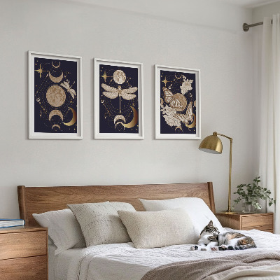 Lot de 3 tableaux pour salon Motifs naturels, fleurs de lune