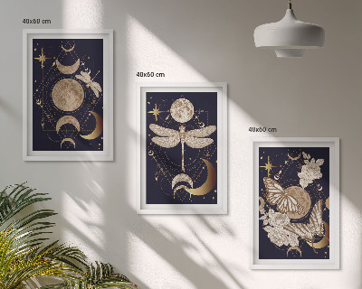Lot de 3 tableaux pour salon Motifs naturels, fleurs de lune