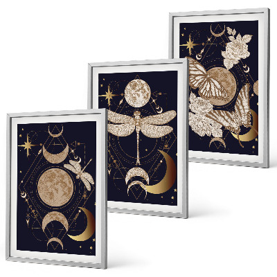 Lot de 3 tableaux pour salon Motifs naturels, fleurs de lune