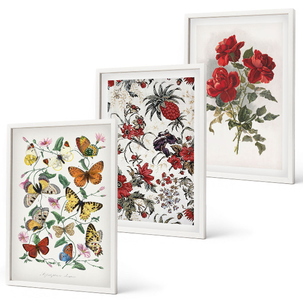 Cadre photo mural Papillons fleurs roses rouges