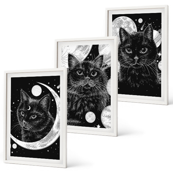 Lot de 3 tableaux pour salon Chats noirs espace lunaire