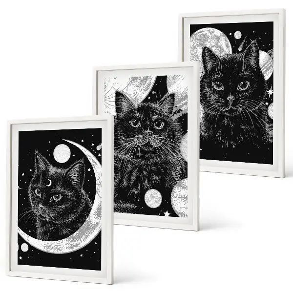 Lot de 3 tableaux pour salon représentant des chats noirs dans un espace lunaire