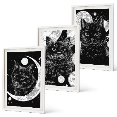 Lot de 3 tableaux pour salon Chats noirs espace lunaire