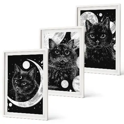 Lot de 3 tableaux pour salon représentant des chats noirs dans un espace lunaire