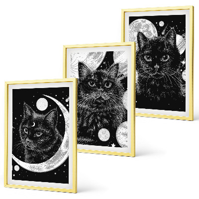 Lot de 3 tableaux pour salon Chats noirs espace lunaire