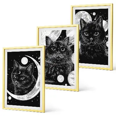 Lot de 3 tableaux pour salon représentant des chats noirs dans un espace lunaire