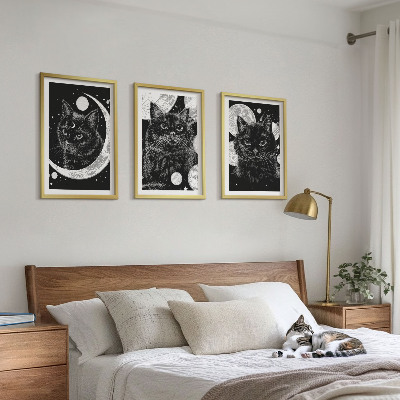 Lot de 3 tableaux pour salon Chats noirs espace lunaire