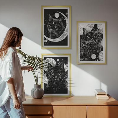 Lot de 3 tableaux pour salon Chats noirs espace lunaire