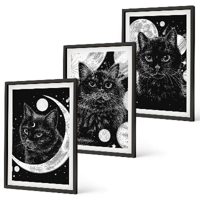 Lot de 3 tableaux pour salon Chats noirs espace lunaire