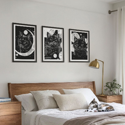 Lot de 3 tableaux pour salon Chats noirs espace lunaire