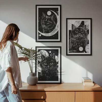 Lot de 3 tableaux pour salon Chats noirs espace lunaire