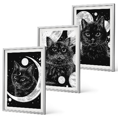 Lot de 3 tableaux pour salon Chats noirs espace lunaire