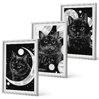 Lot de 3 tableaux pour salon représentant des chats noirs dans un espace lunaire