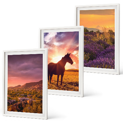 Cadre photo mural Paysage de montagne avec un cheval