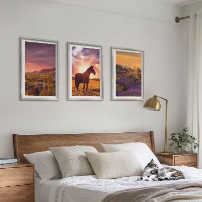 Cadre photo mural Paysage de montagne avec un cheval