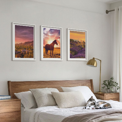 Cadre photo mural Paysage de montagne avec un cheval